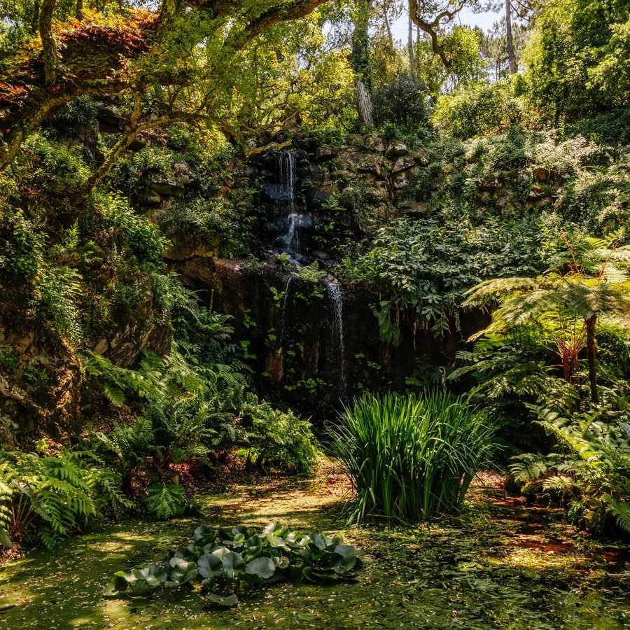 Beckford waterfall at Monserrate